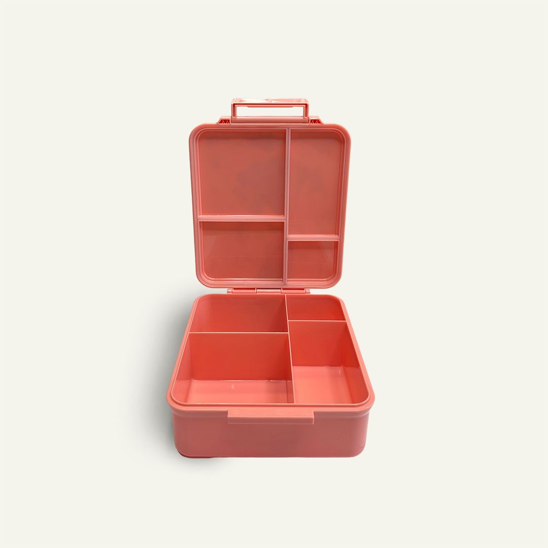 Frozen Magic Bento Lunchbox - Cotton Candy Pink - 4 Compartments