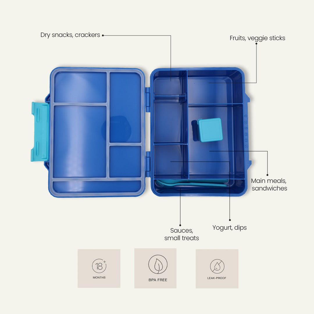 Soccer Sprint Bento Lunchbox – Game Night Blue – 4 Compartments