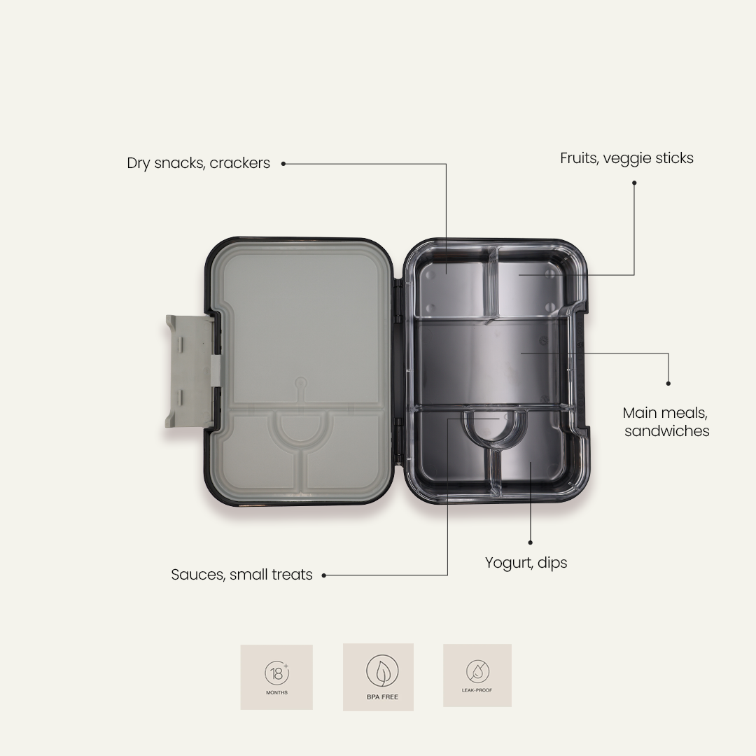 Vintage Racer Bento Lunchbox – Midnight Asphalt Black – 6 Compartments