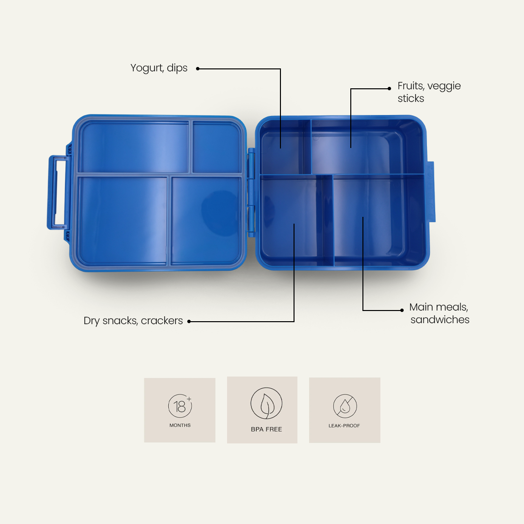 Study Buddy Bento Lunchbox – Pencil Case Blue - 4 Compartments
