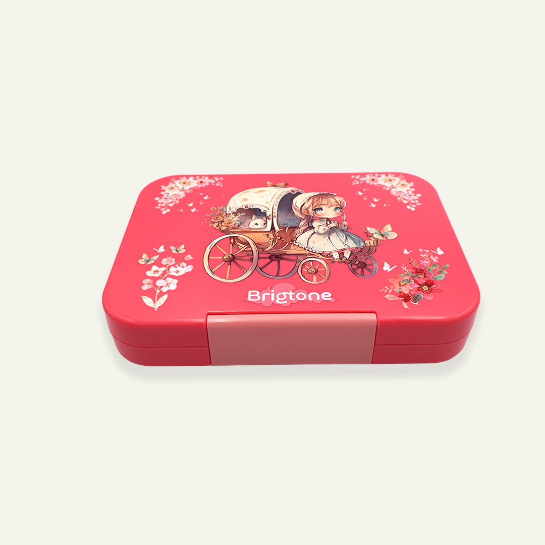 Magical Dreamer Bento Lunchbox – Little Girl Pink – 6 Compartments